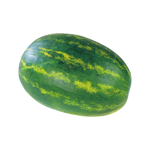 Seedless Watermelon